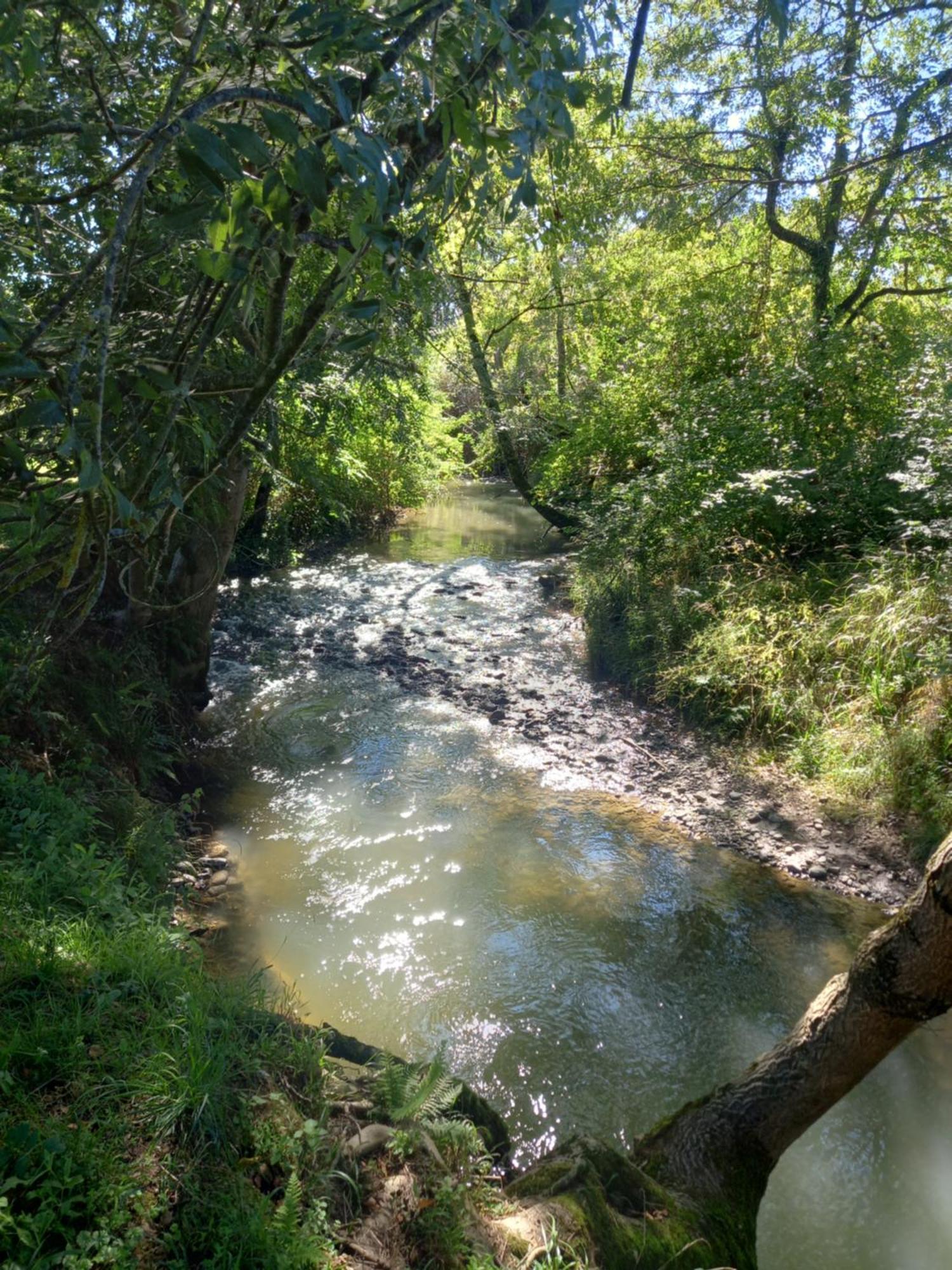 L'Oasis Des Pyrenees Villa Campuzan Kültér fotó
